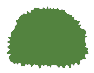 Shrub