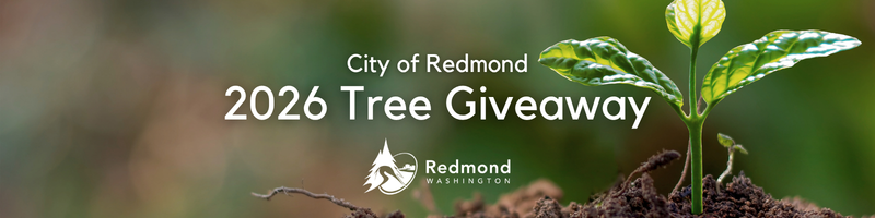 Redmond Tree Giveaway 2026